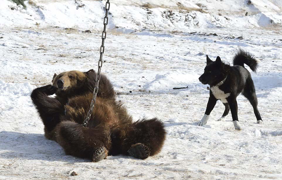 ͼУȮɯƺֹͣսϢһ¡