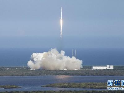 福建平潭坛南湾沙滩出现蓝眼泪奇观 - 神秘的地