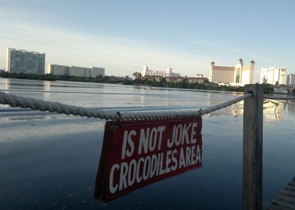 �����������к���������Ͼ����ʾ�����������������û������Ӿ��