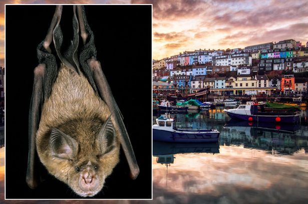 Ӣ��һ�͹ݱ�������֮ҹ��Ա�����ϡҹ�ж���