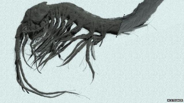 ȫĺڰʹһЩ׿දʷʧȥ۾