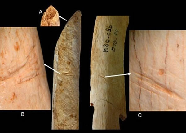 רҷЩŲ̶ͬȵѺۣͬ֫⡣