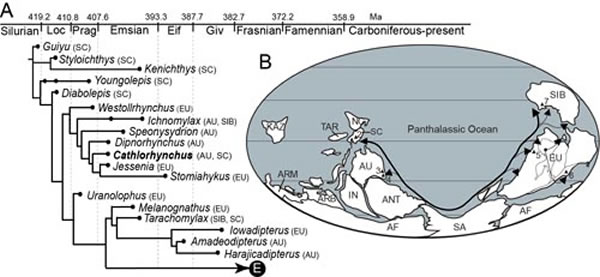 早泥盆世肺鱼类的系统发育关系及演化路线