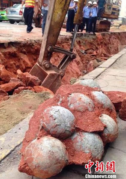 广东河源闹市一酒店门前修路挖出恐龙蛋化石