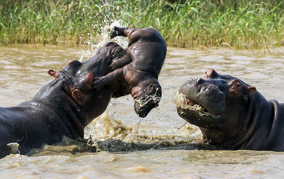 ����ͷ�������Ժ������Ҷ�սʱ��������5���С������������С�