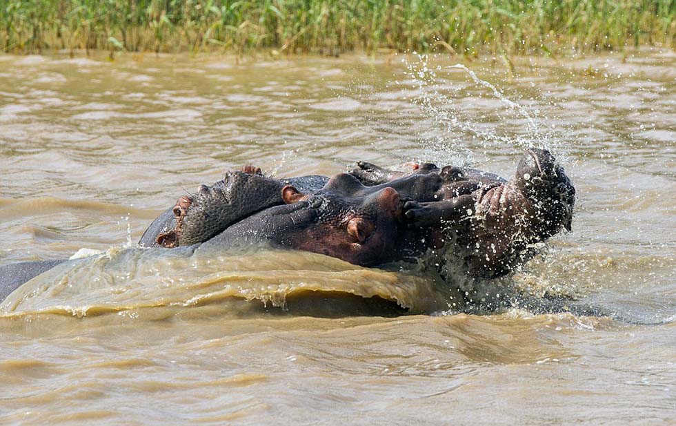 С������ˮ���ϱ���ק����Сʱ��������