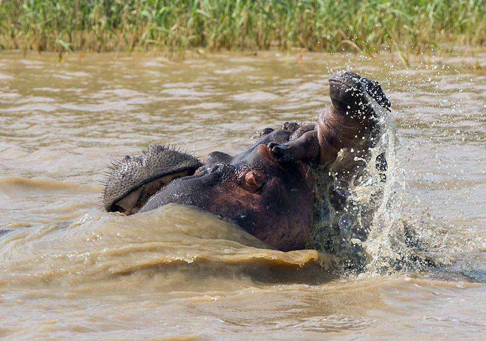 С������ĸ�׾��ֵؿ��ź��ӱ���������У�����ֱ���ˮ������ק��