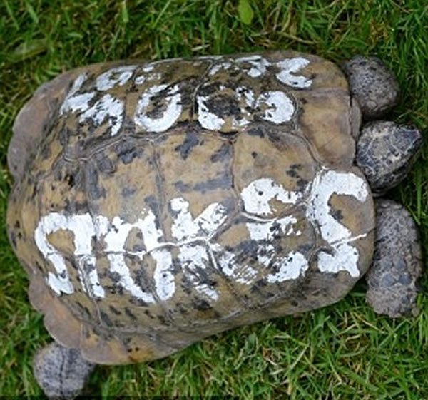 �бȹ������ĵ绰��������ɫ