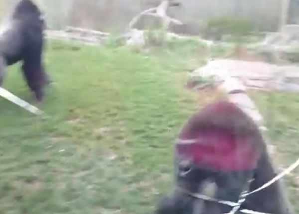 玻璃被打出一道长长裂痕