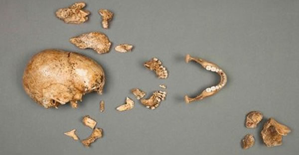 经过对鲇鱼腹中遗憾的研究得出结论,这名年轻军官死于几十年前。