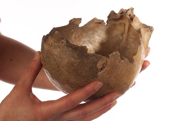 Ӣ����Ĭ���ؿ���Ѩ�����������ȳ�ͬ���֤��