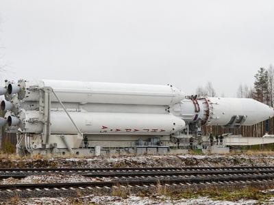 美国自然爱好者在新西兰发现巨沙螽之中的王