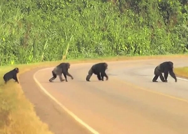 �����ɺ����·ʱ���������ҡ�