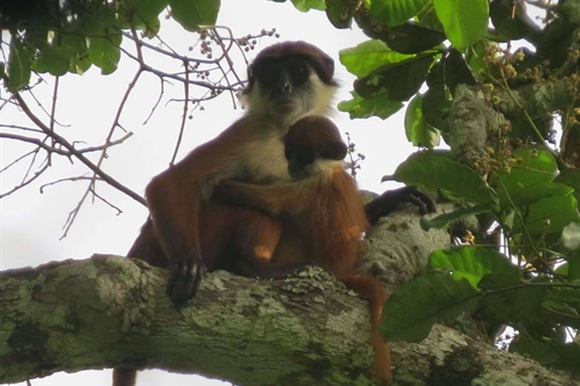 оԱڸչҹ԰ץĵһűĺƬ