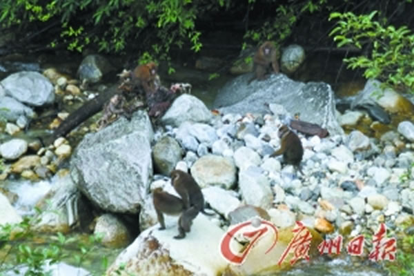 ׼⨺ɡIBEҵ滮оԺ 