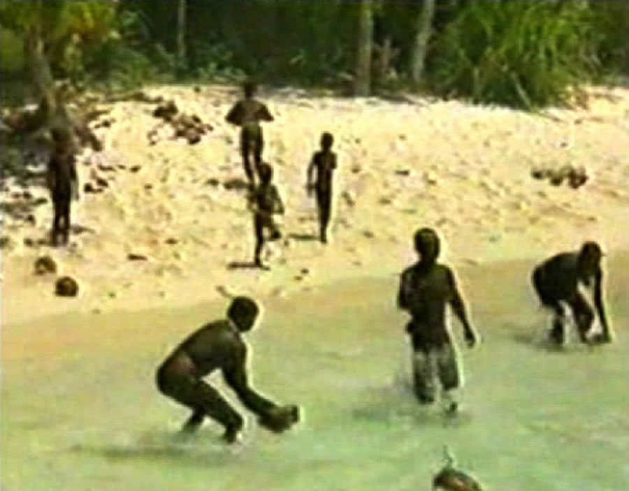 ӡ����С����ɭ����������6������������������� ��ӡ����������