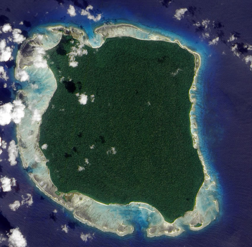 ӡ����С����ɭ����������6������������������� ��ӡ����������