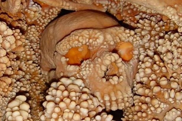 意大利洞窟中发现的神秘遗骸确认为15万年前的尼安德特人