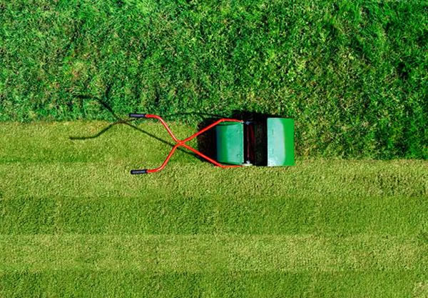 iRobot˾ƵͲƺ޼ˡRoomba漰źƵʿܻĹ۲ţòƷзѧǵǿҷ