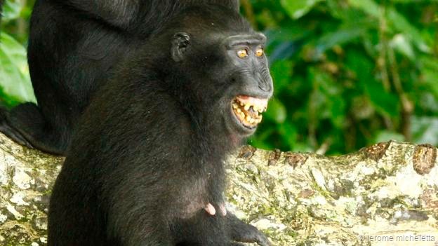 ��б��鳣�����ںڹں�ĳ�ͻ��