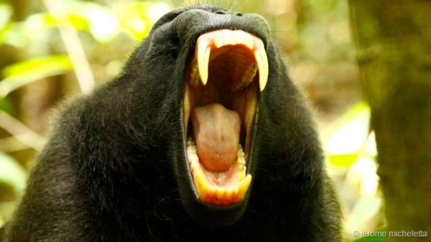 ��Ƿ����ζ�Ž��ǻ�ѹ��