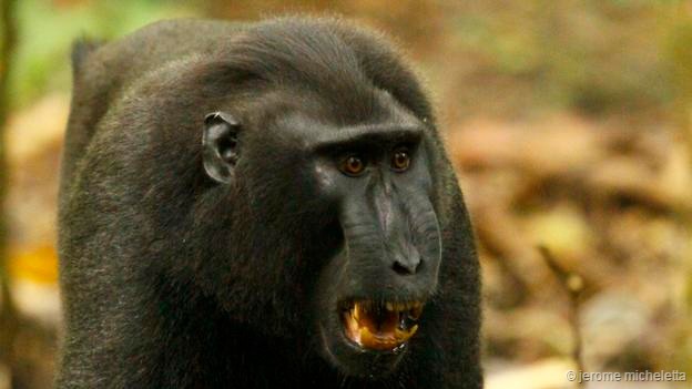 ��Ͱ��ŵı�����ζ���ܵ�һ����в