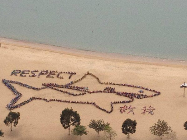 2013年的主题是「大鲨鱼」,还有英文的「RESPECT」和中文的「救我」。