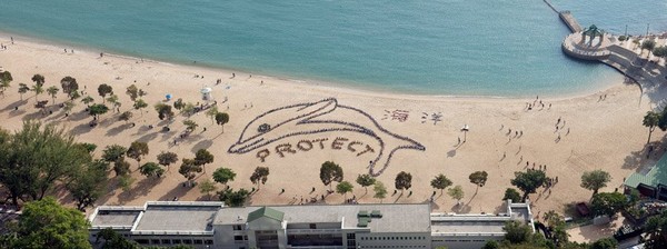 2012年的主题是「海豚」,还有英文的「PROTECT」和中文的「海洋」。