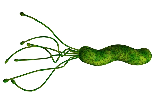 о֣˾ͼϸ䣬ǿ书ܵ