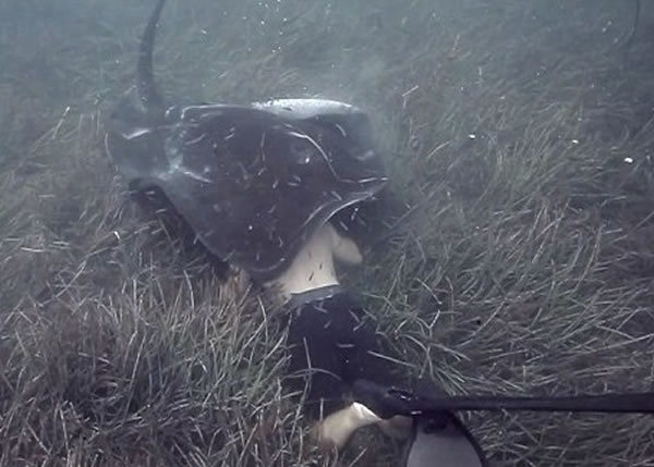 ħ������ҧ�²��ɺ���