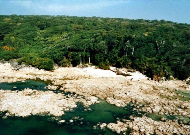 ���ϵķ������顢���ԡ��Ļ���ϰ�ף�������δ���ҿ���