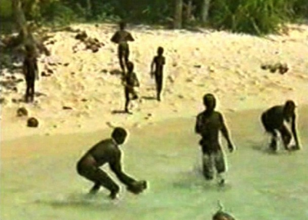 ��ר��Ϊ�������巢���Ļ�������ɭ���ɶ��˵���Ƭ��