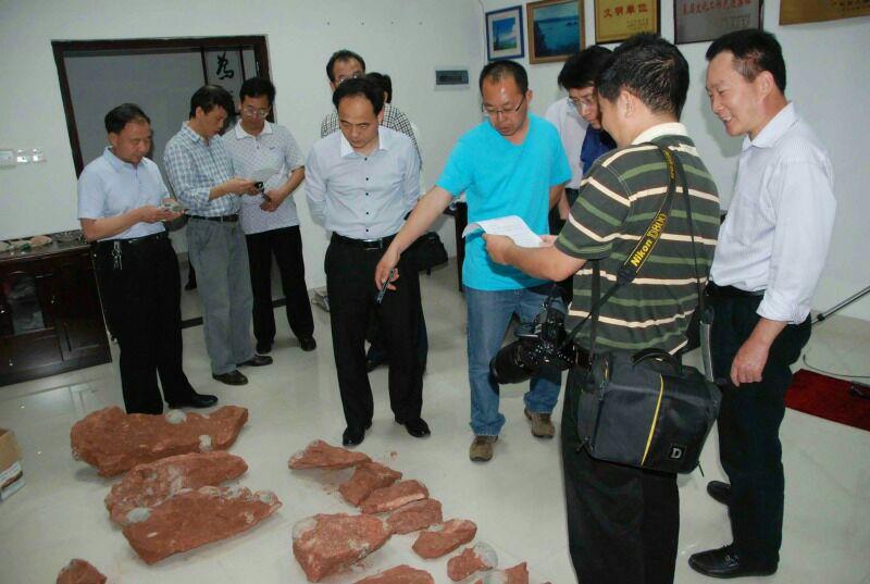 国土资源部调研组赴河源考察恐龙化石资源