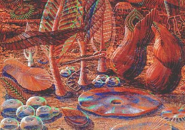 生活在数亿年前的人类和其它动物共同祖先物种可能长着灵活的触手和复杂的神经系统