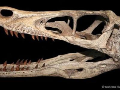 亚特兰蒂斯城掩埋在西班牙南部的潮泥滩下方?