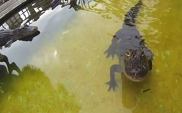 ���㵱ʱ���Ƿ����˾�ͷ�������ƽ���