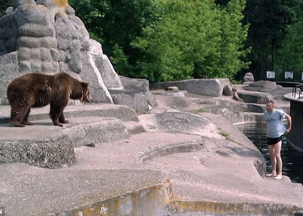 �����������Ӵ����������ھ�����