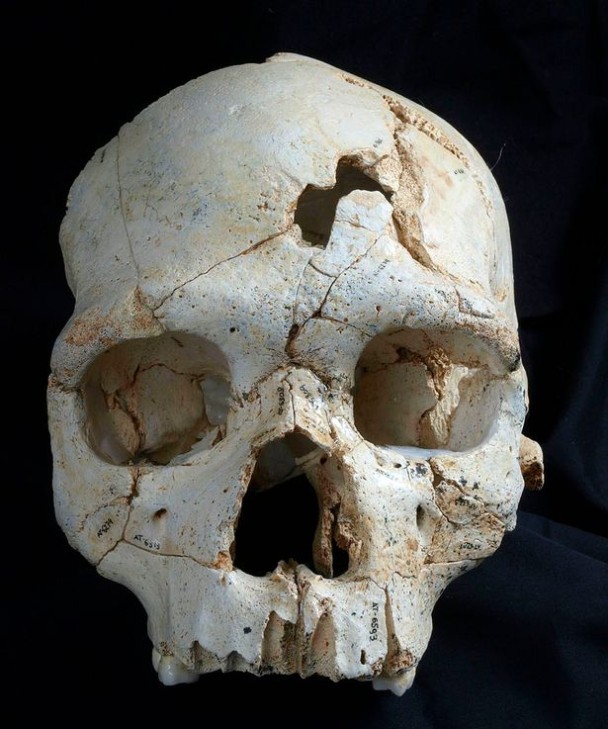 “The Cranium 17”可能是早期的尼安德特人。