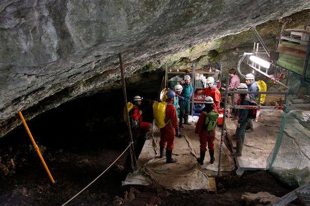 科学家在洞穴发现该批有43万年历史的人骨