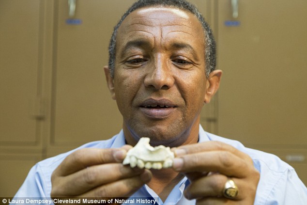 该项研究负责人Yohannes Haile-Selassie展示他发现的这块早期人类上颚骨化石,同时,他还发现部分足部化石,认为可能也属于Australopit