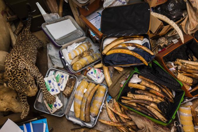 2011��7��21���ڿ�������ȵ���Ī・��������Jomo Kenyatta�����ʻ������ػ��й���˽��װ�зǷ������������䡣���Ｏ�Ž������Ƿ�������