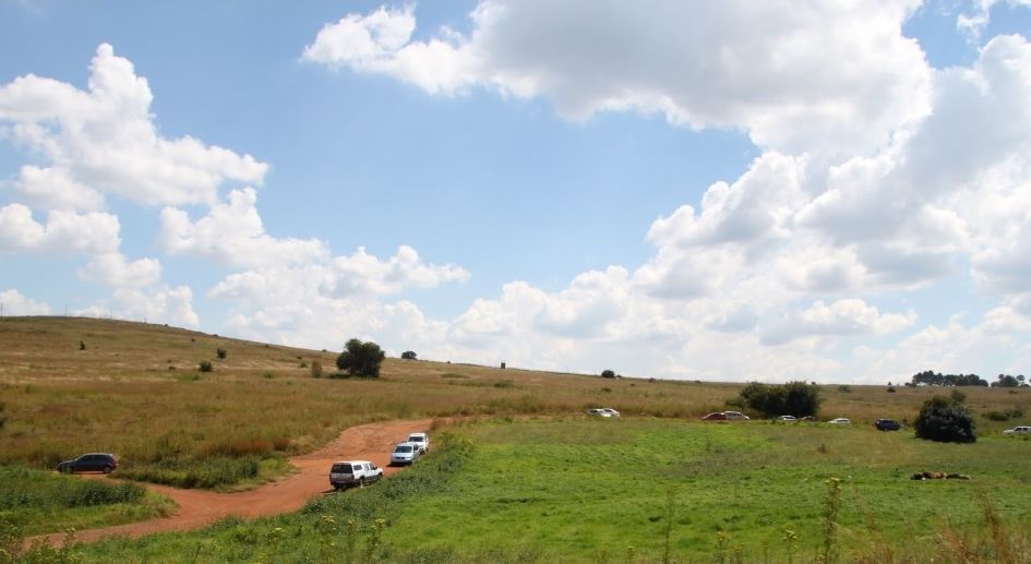 游客汽车在园区内行驶