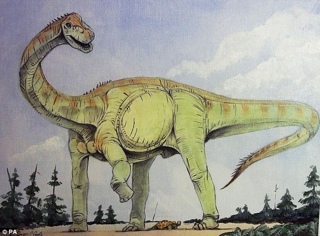 蜥脚类恐龙包括生活在1.5亿年前的大型食草恐龙,图中描绘的可能是艾兰发现的恐龙物种。