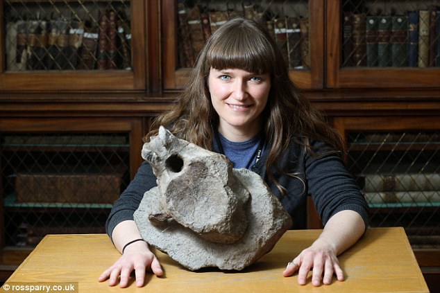 约克郡自然科学馆长萨拉-金(Sarah King)说:“我们在约克郡惠比特海岸发现许多远古生物化石,我们对这里发现英国最古老蜥脚类恐龙脊椎骨化石感到非常欣喜!”