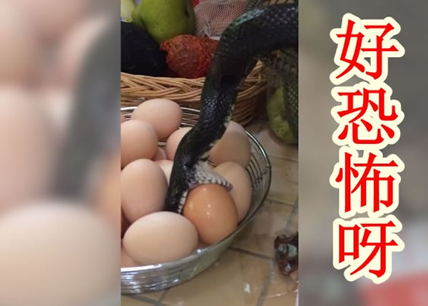 �����߰�����������һ��������������