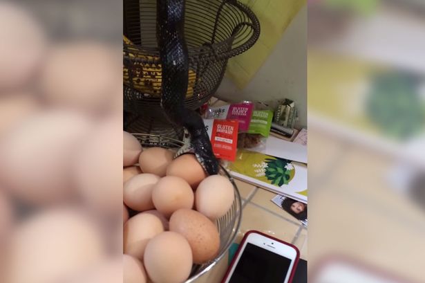 ����������������һ�ż���