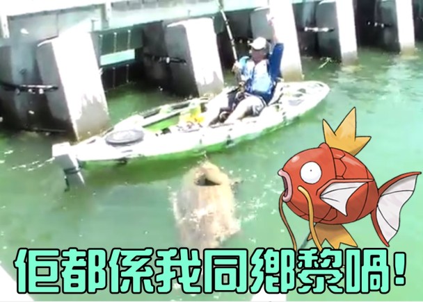 ��������Ѿ���������ľ��