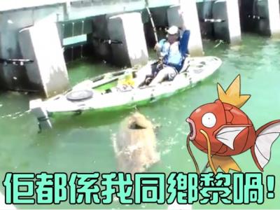 关于中国塑胶垃圾的纪录片《塑胶王国》引起极