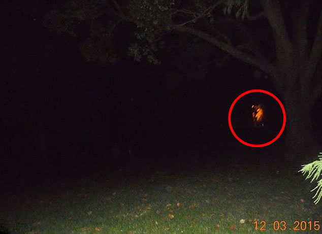 澳大利亚“鬼镇”被灵异事件笼罩 红衣女鬼现身