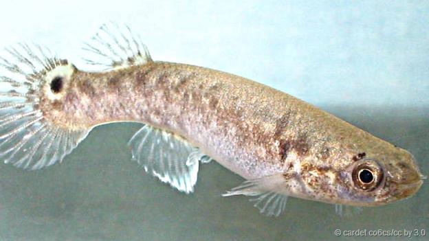 㲻᳤ϡ˵Ǵͳ֡ϡǲ죬ʵϺܶһȥһ3